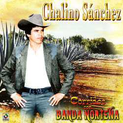 Cover of Corridos Con Banda Norteña