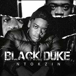 Cover of Black Duke