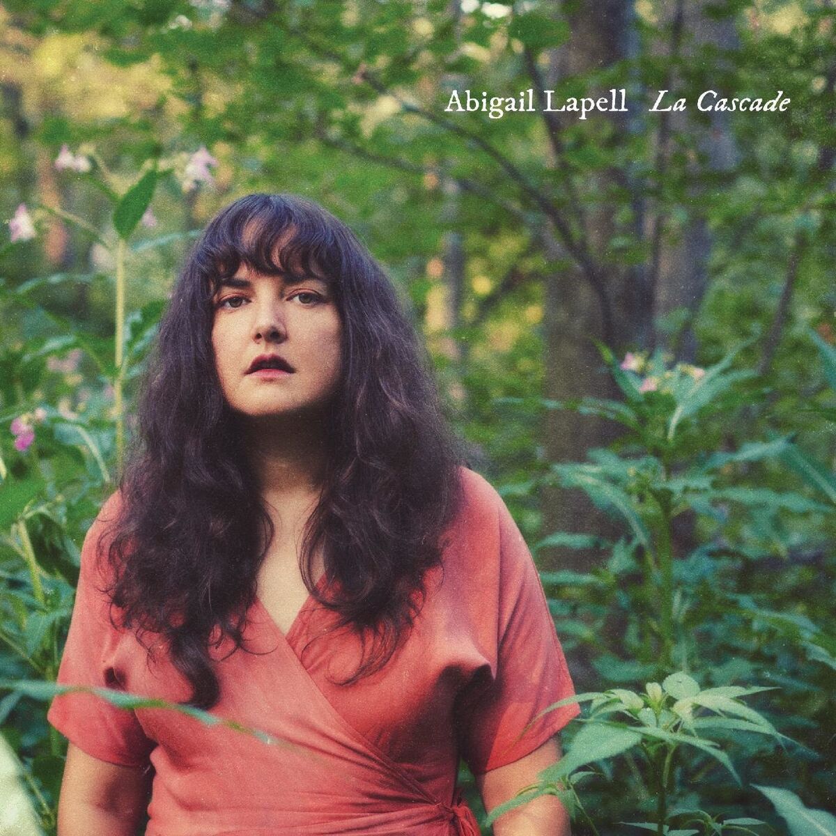 Album cover of La cascade
