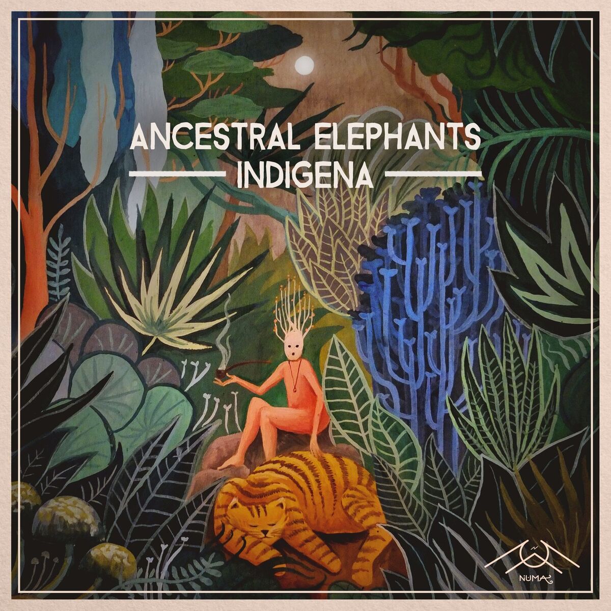 Album cover of Indigena