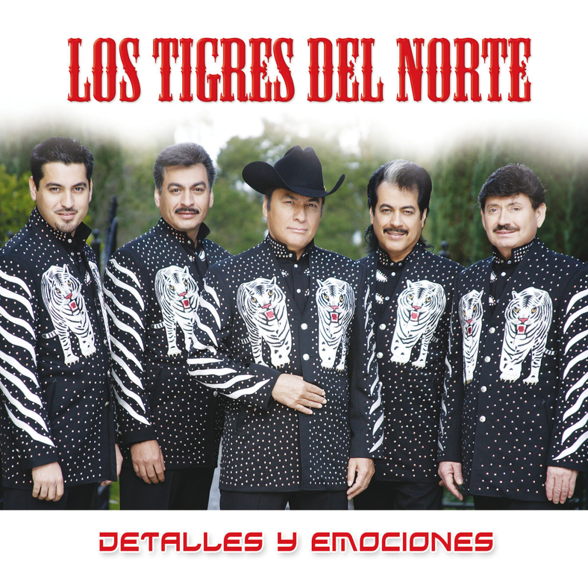 Album cover of Detalles