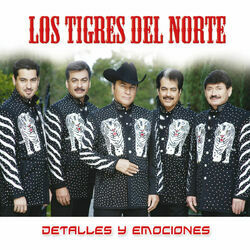 Cover of Detalles Y Emociones