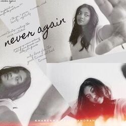 Cover of Never Again