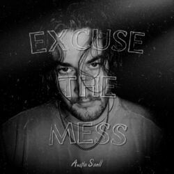 Cover of Excuse the Mess