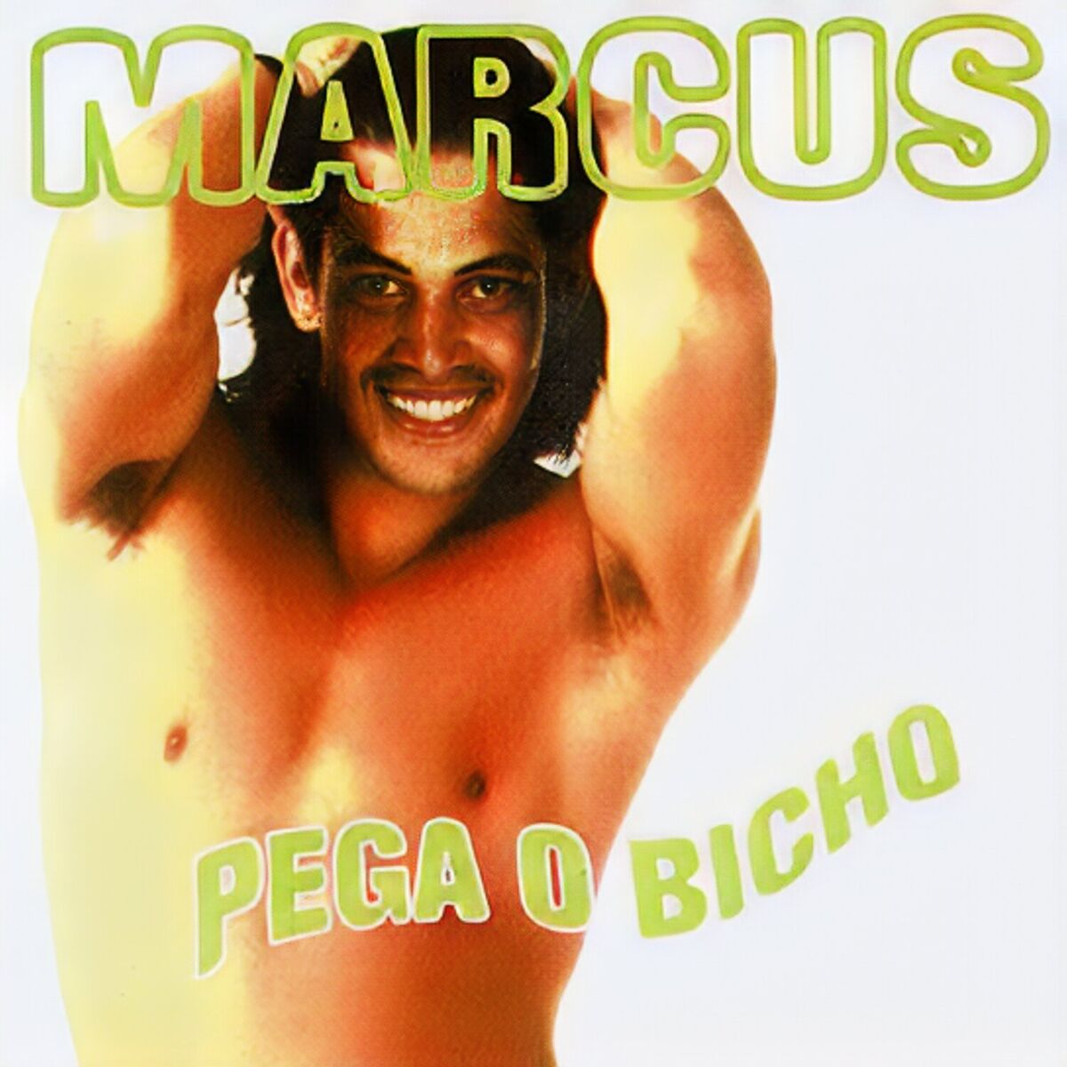 Album cover of Pega o bicho