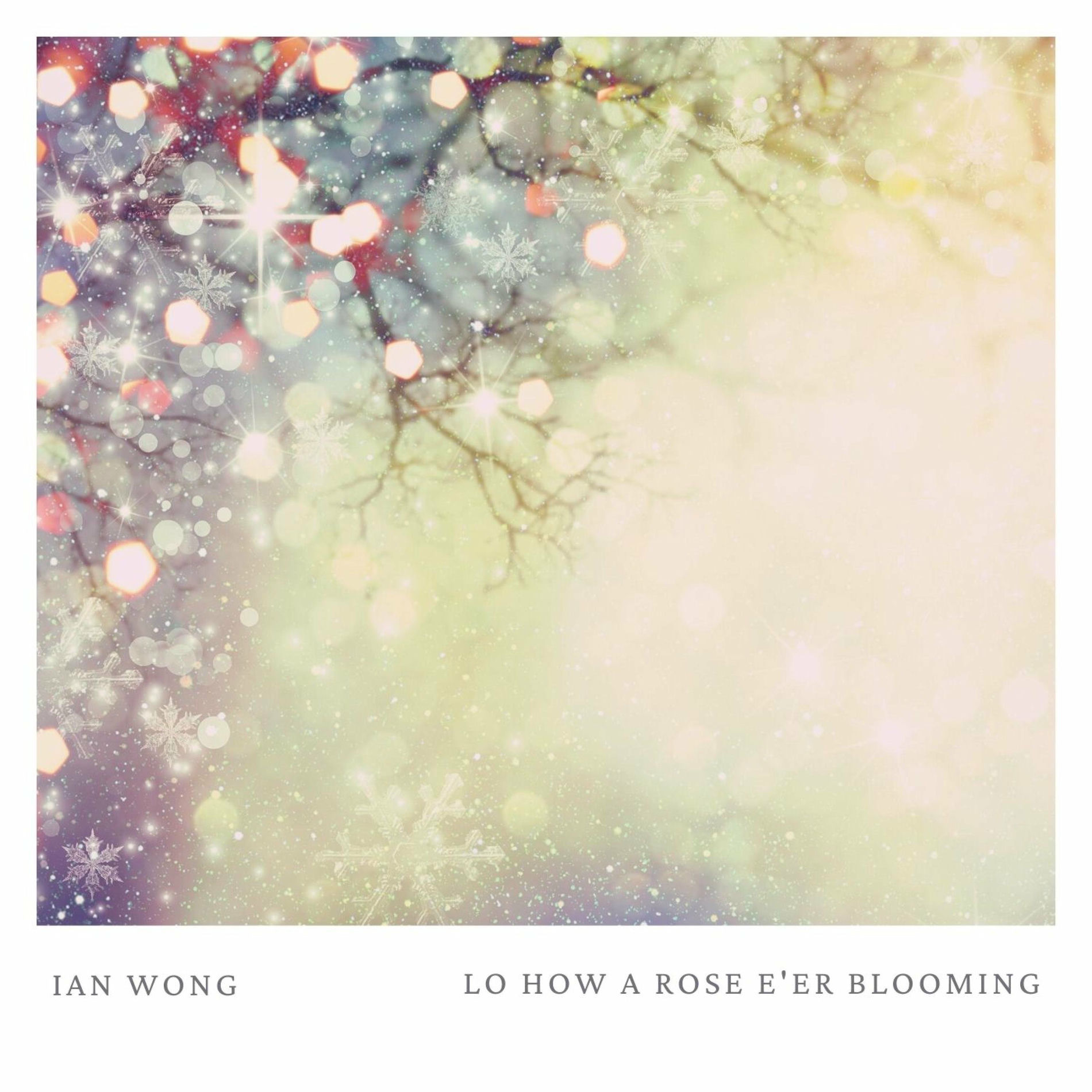 Album cover of Lo How A Rose E'er Blooming