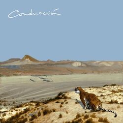 music cover