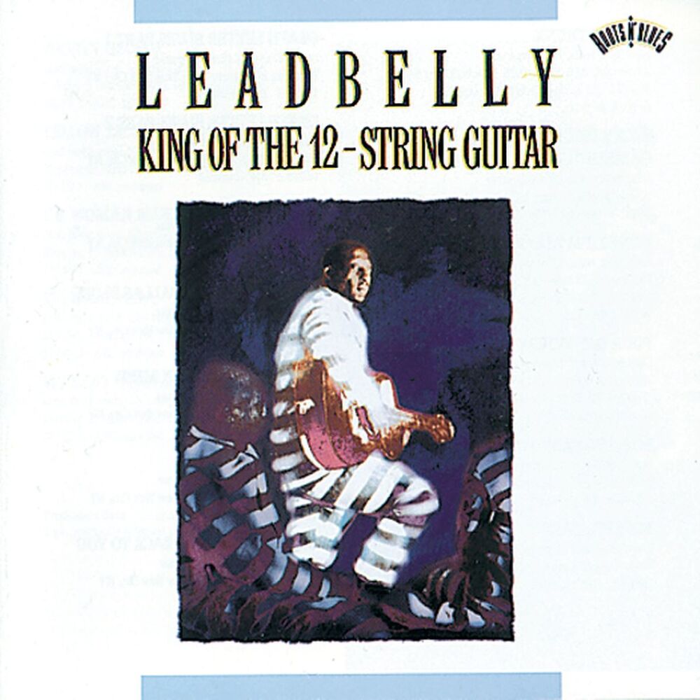 Picture of King Of The Twelve-String Guitar