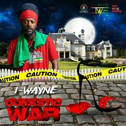 Cover of DOMESTIC WAR