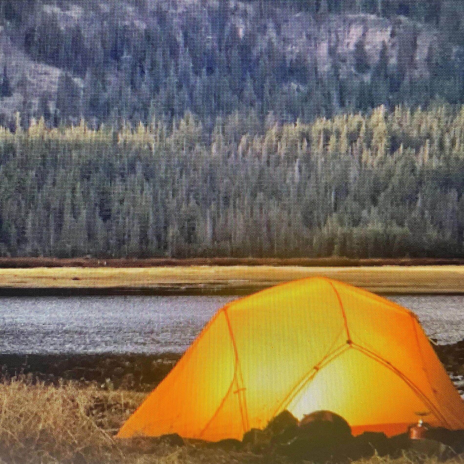 Album cover of Camping (feat. The Wild Walkers, Natural Perspectives, Into the Earth & Luvial Dreams)