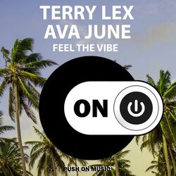 Cover of Feel the Vibe