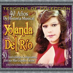 Cover of Tesoros De Colección - 40 Años de Historia Musical