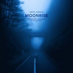 music cover