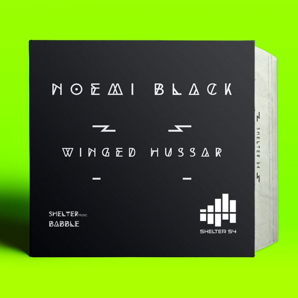 Picture of Winged Hussar