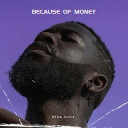 Cover of Because of Money