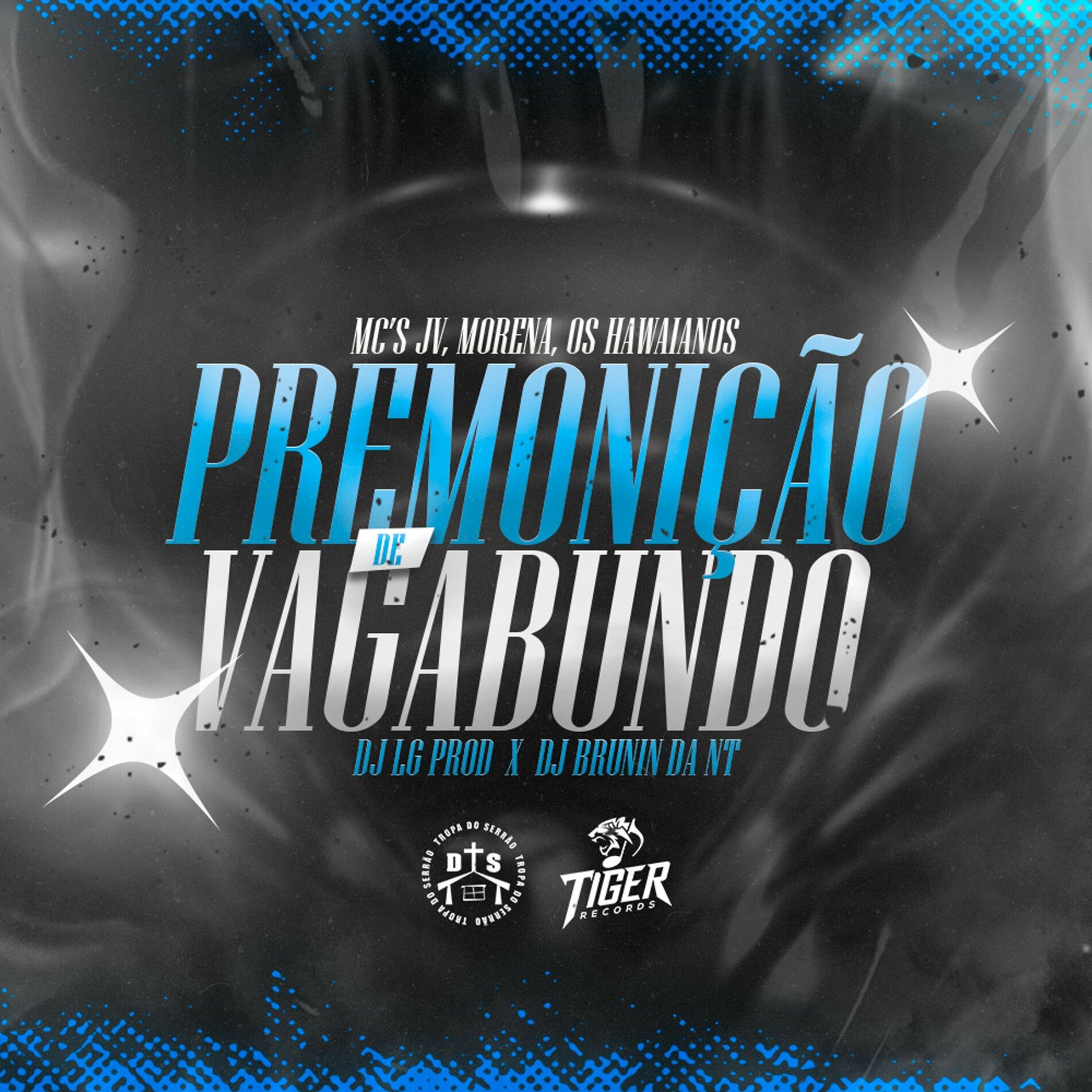 Album cover of Premonição de Vagabundo