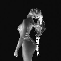 Cover of Below the Clavicle