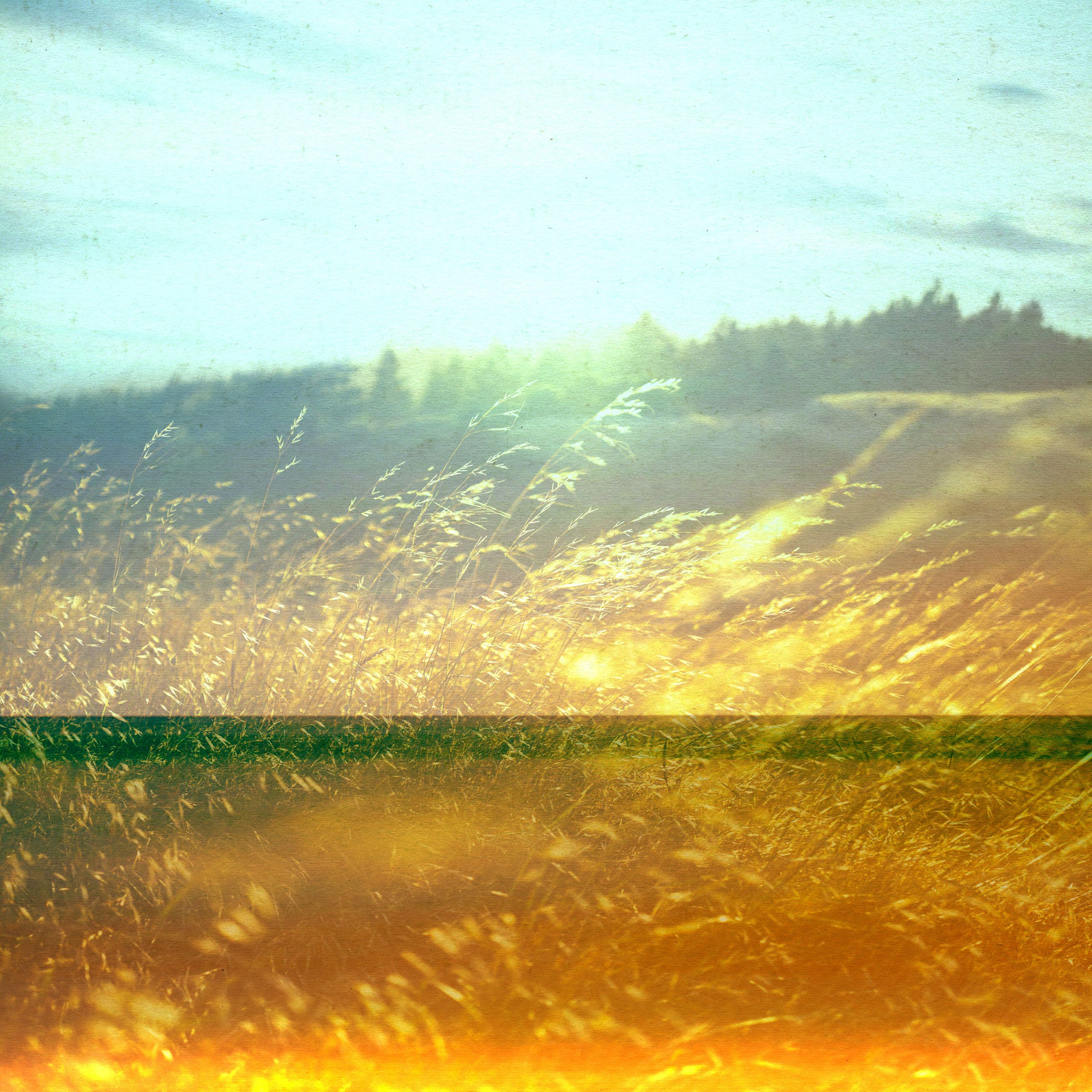 Album cover of Whispering Winds