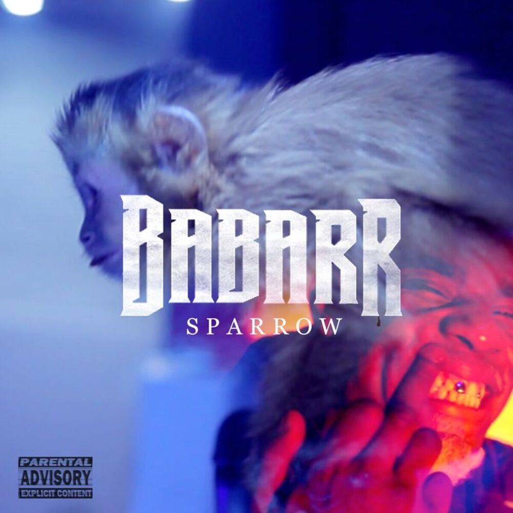 Picture of Sparrow