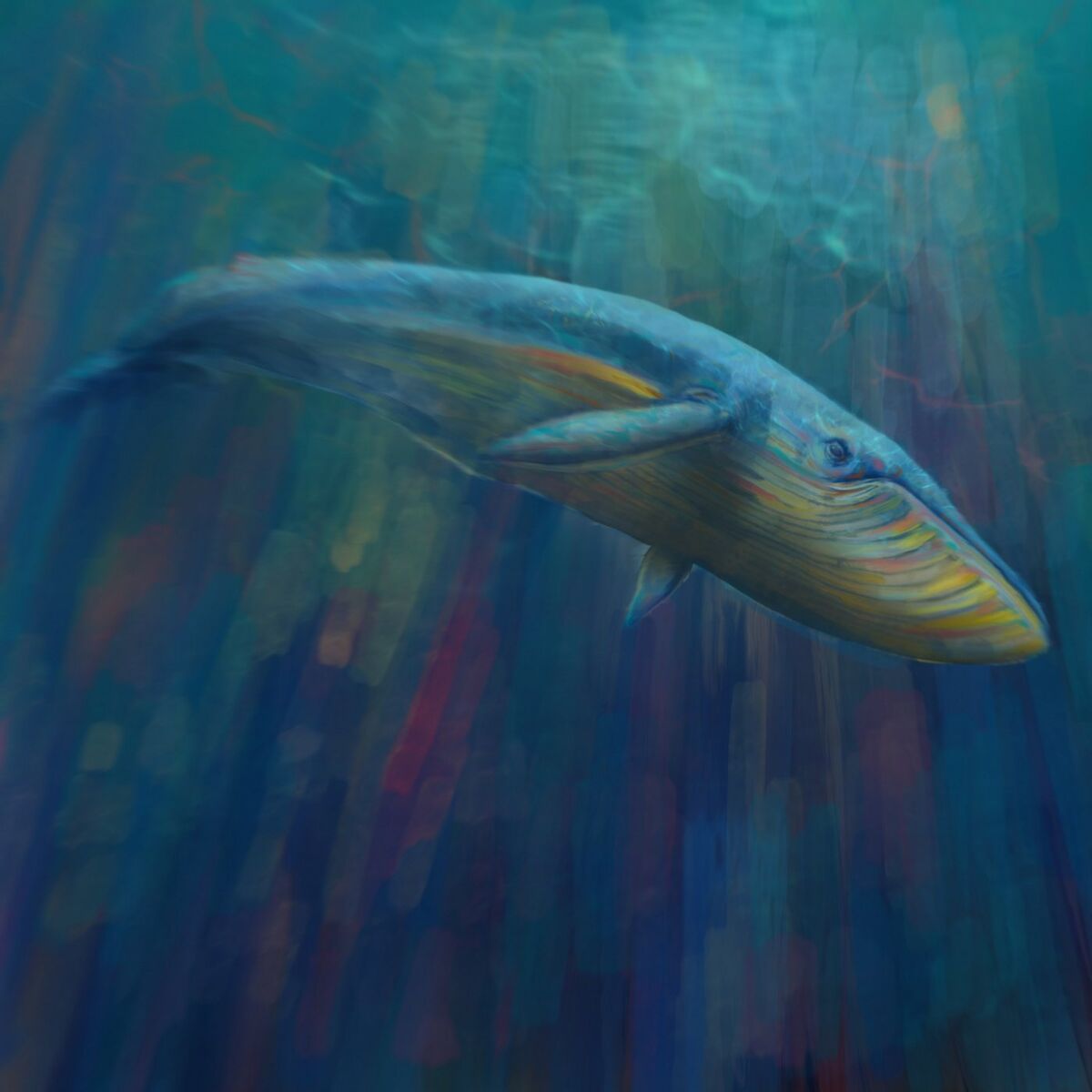 Album cover of Blauwau (2017)