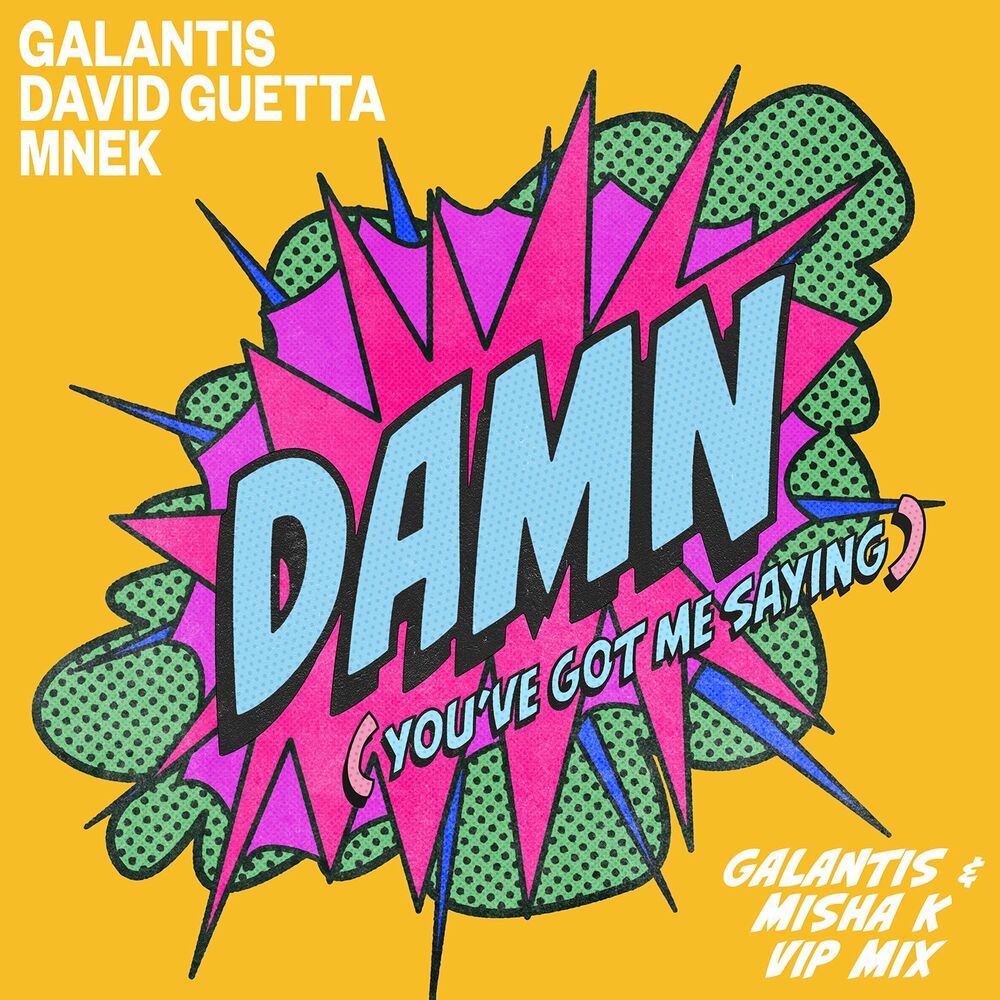 Picture of Damn (You’ve Got Me Saying) (Galantis & Misha K VIP Mix)