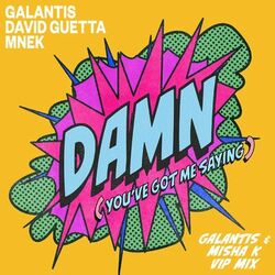 Cover of Damn (You’ve Got Me Saying) (Galantis & Misha K VIP Mix)