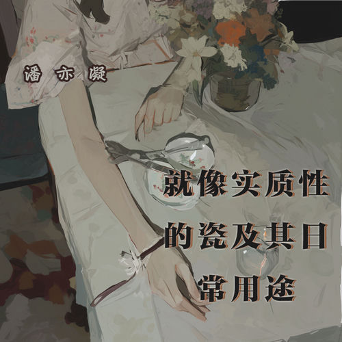 就像实质性的瓷及其日常用途