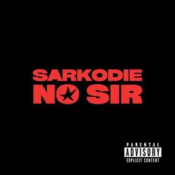 Cover of NO SIR