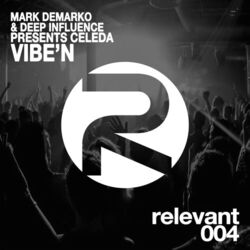 Cover of Vibe'N