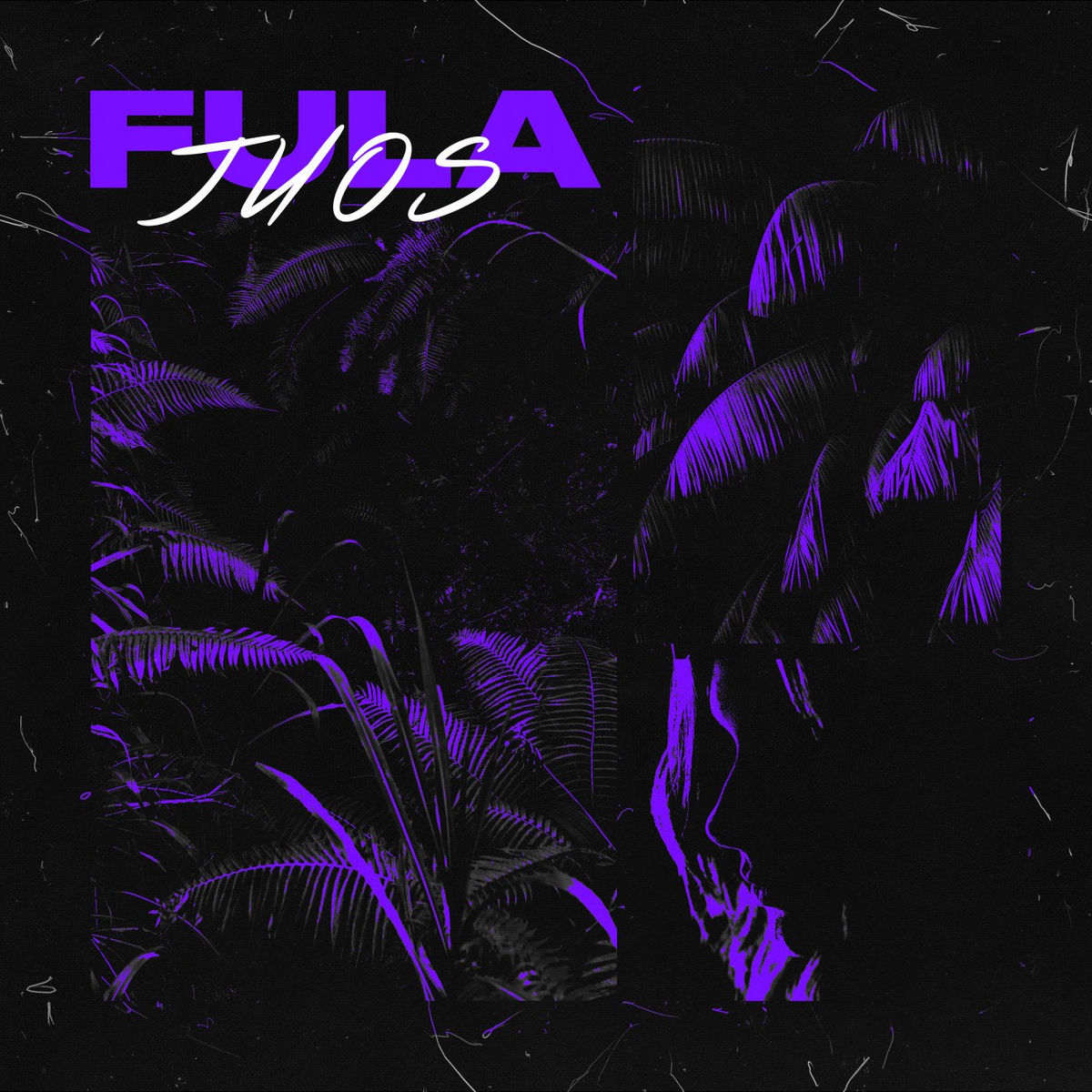Album cover of Fula