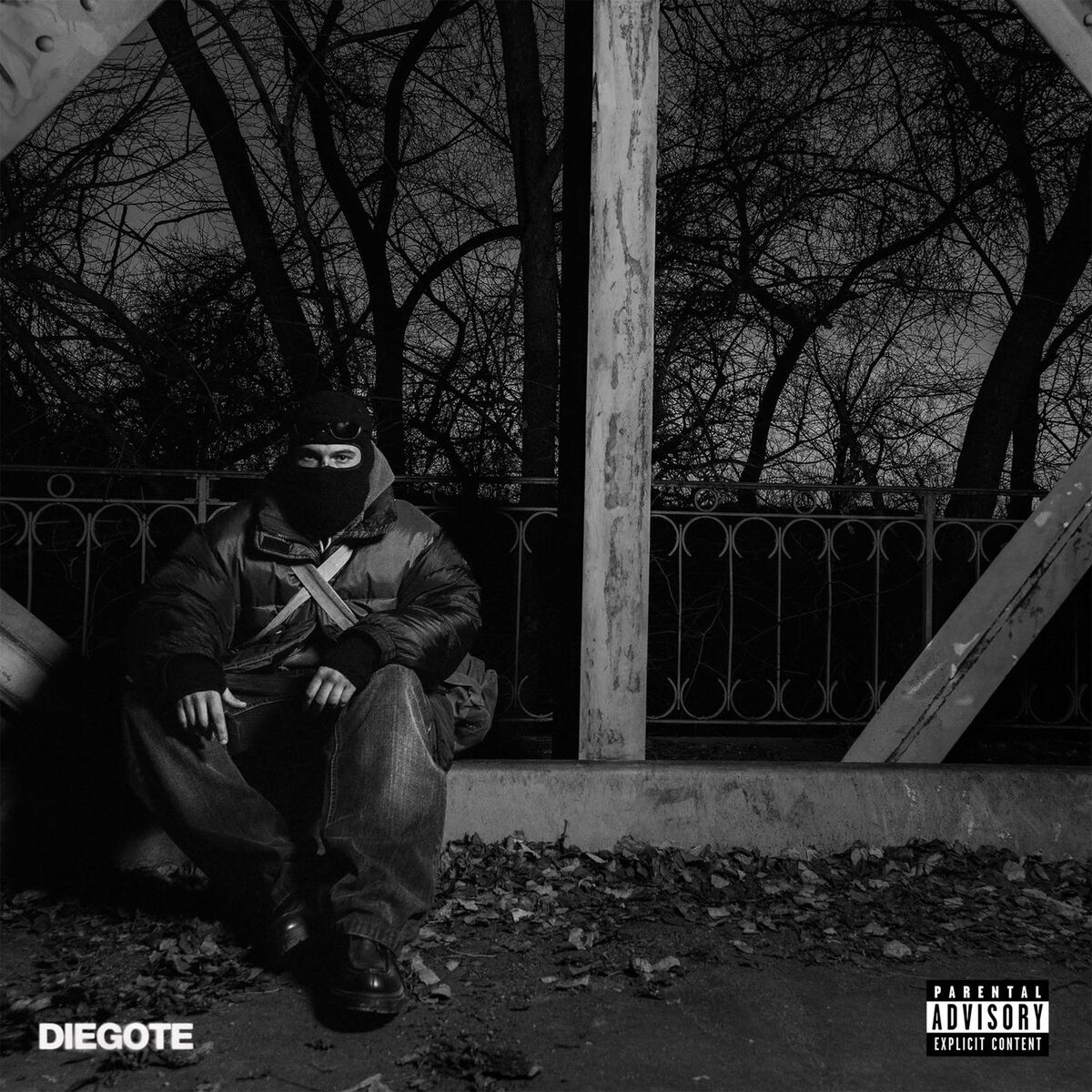 Album cover of SUPERIOR
