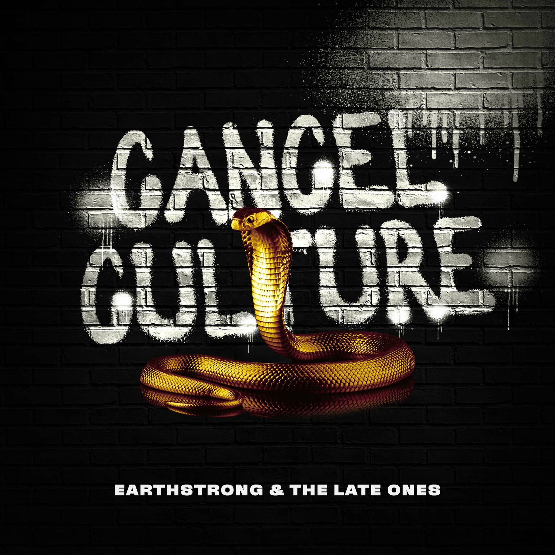 Album cover of Cancel Culture