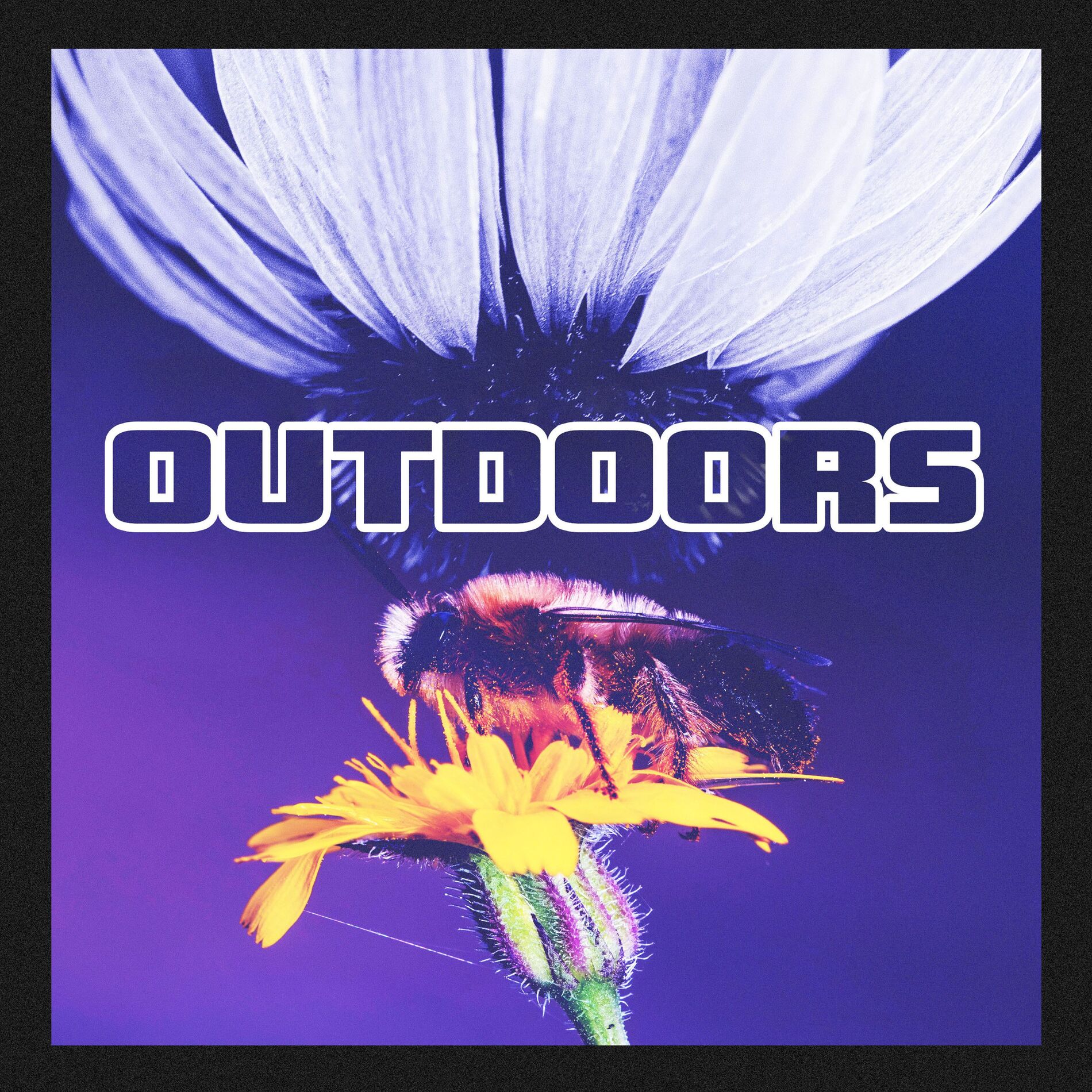 Album cover of Outdoors