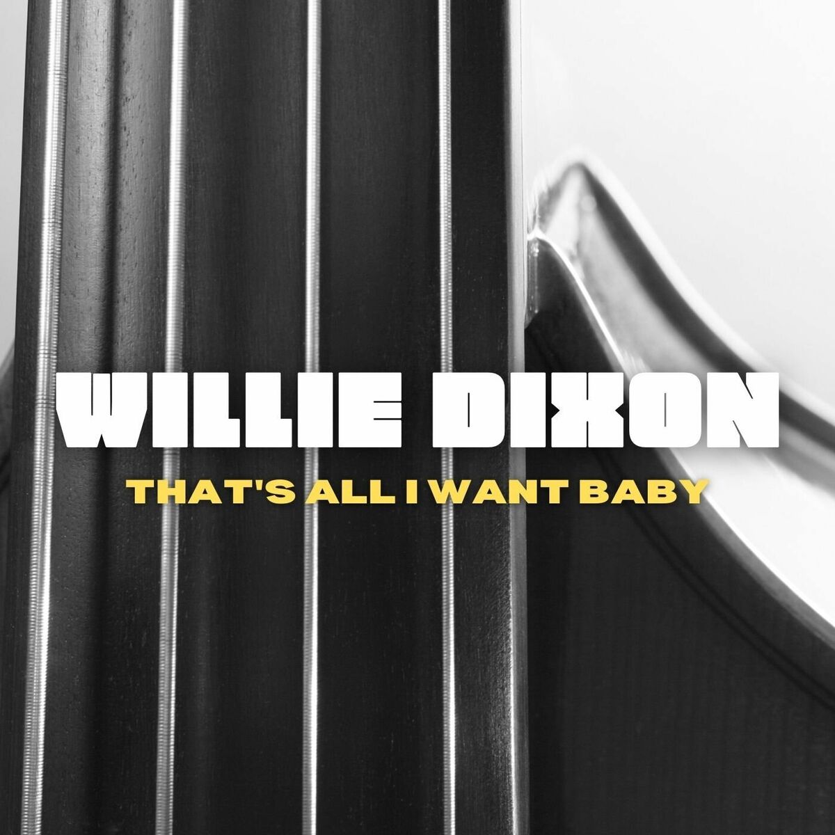 Album cover of That's All I Want Baby