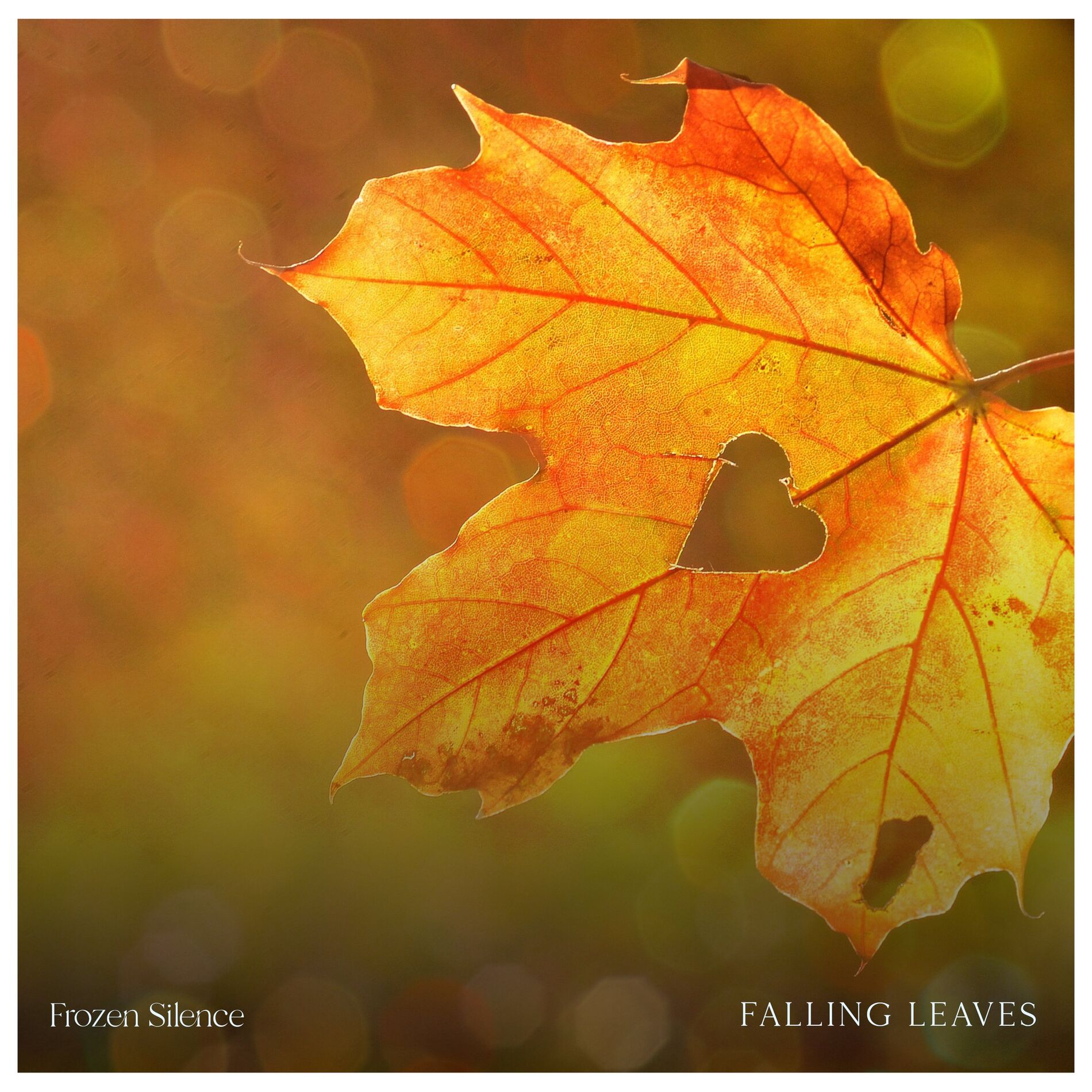 Album cover of Falling Leaves