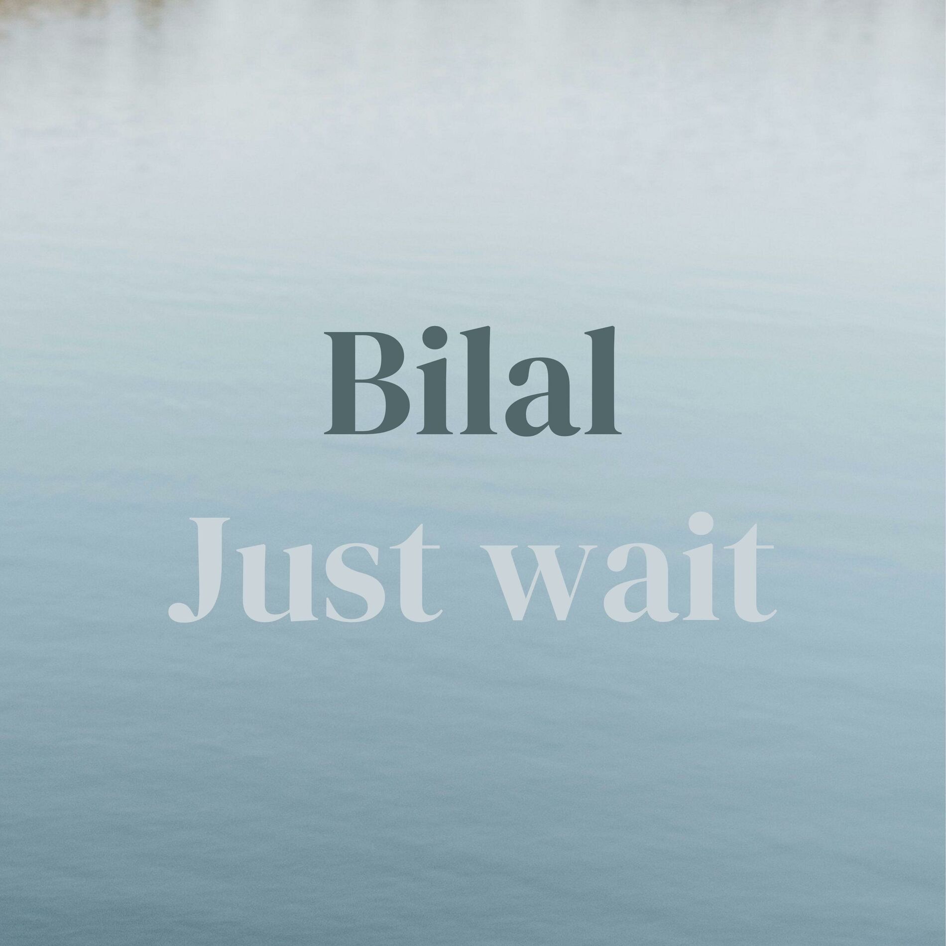 Album cover of Just wait