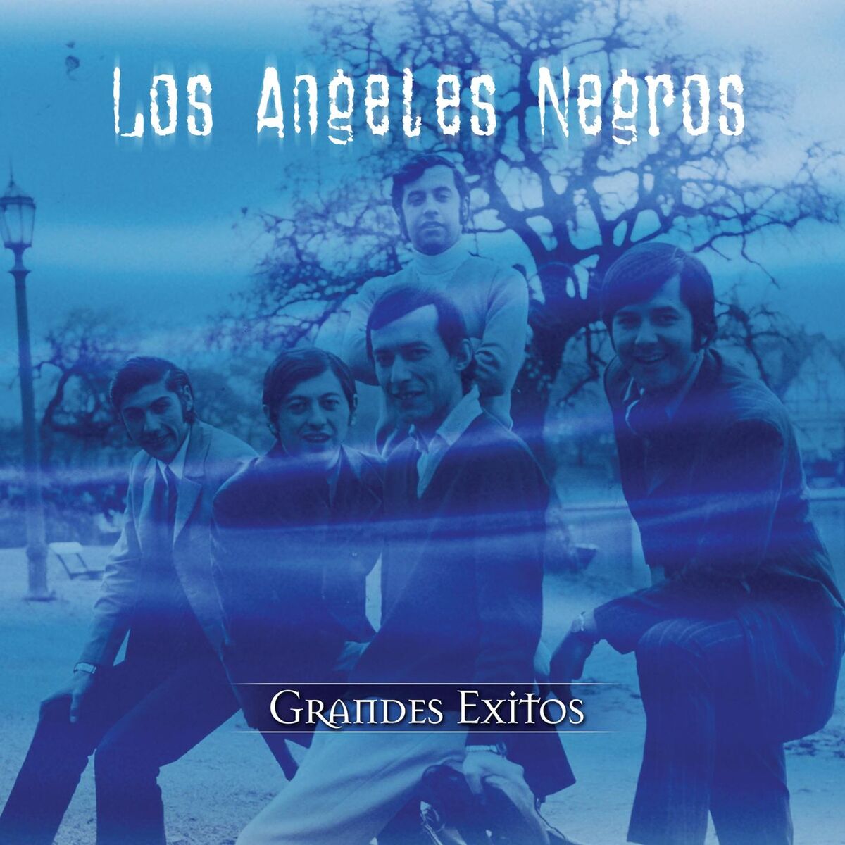 Album cover of Serie De Oro