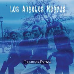 Cover of Serie De Oro