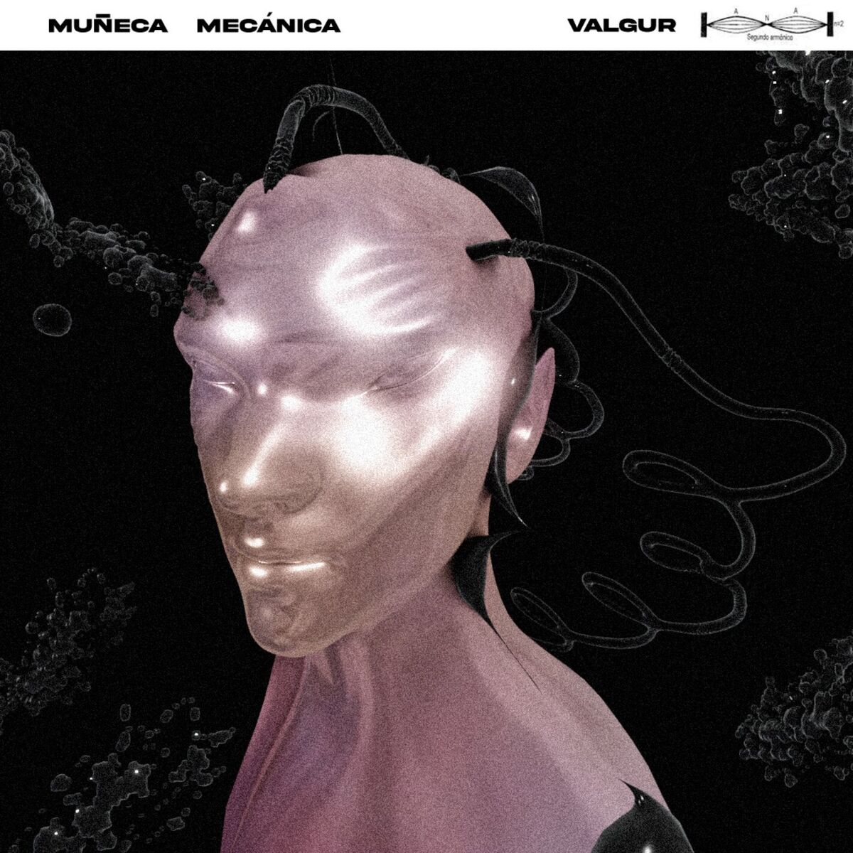 Album cover of Muñeca Mecánica