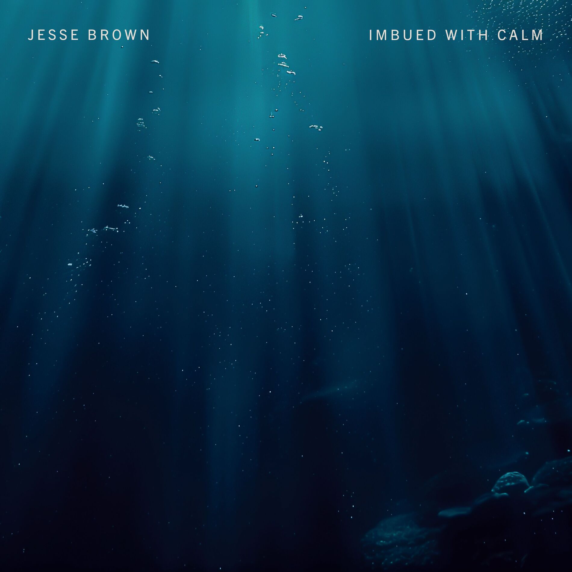Album cover of imbued with calm