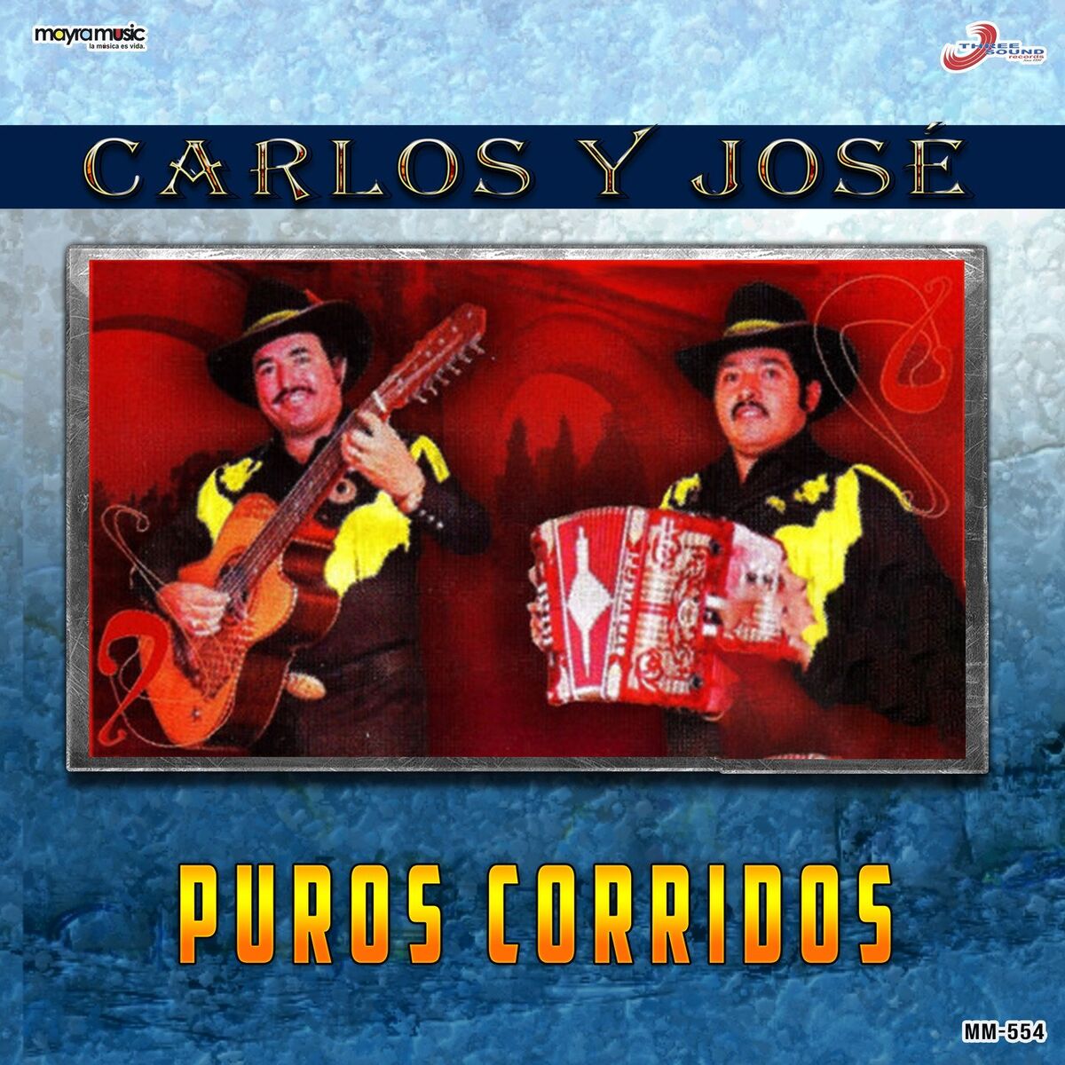 Album cover of Puros Corridos