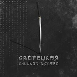 Cover of Слишком быстро