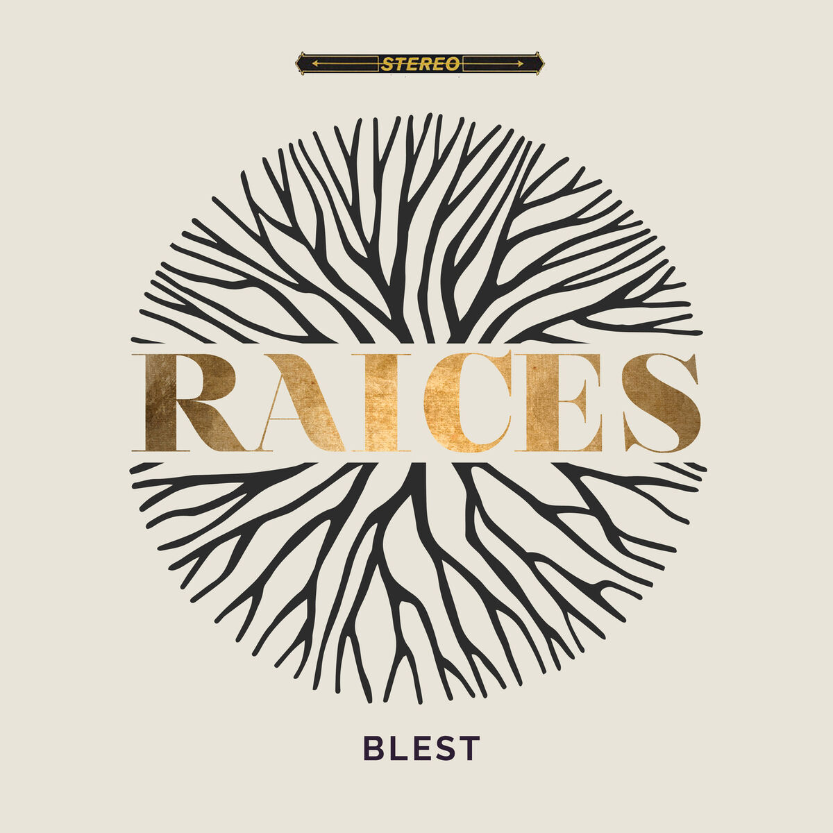 Album cover of Raíces
