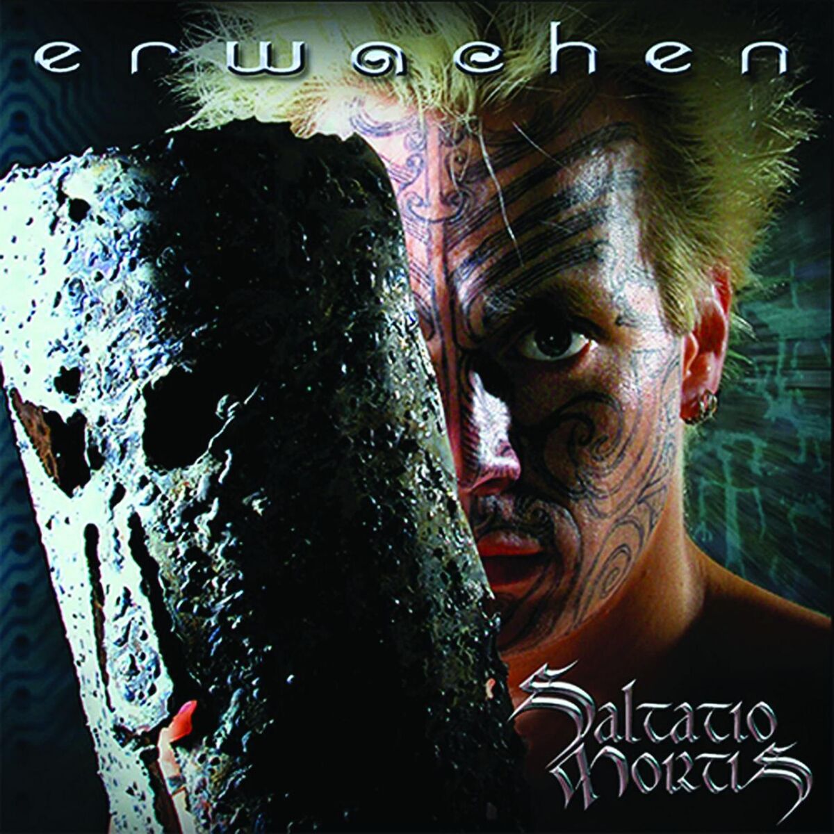Album cover of Saltatio Mortis - Erwachen (MP3 Album)