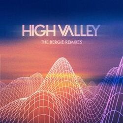Cover of The Bergie Remixes (Remix)