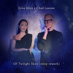Cover of Of Twilight Skies (Sleep Rework)