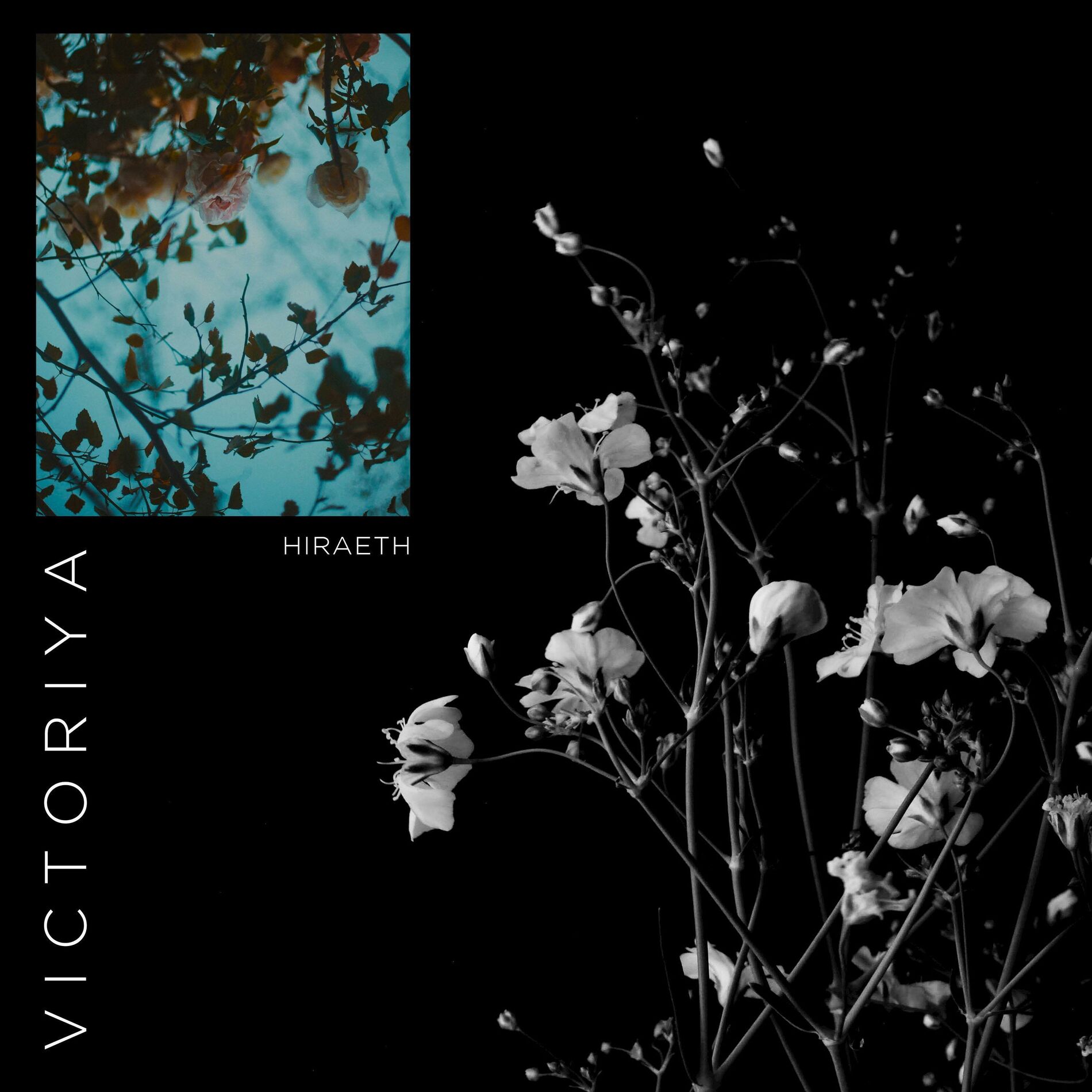Album cover of Hiraeth