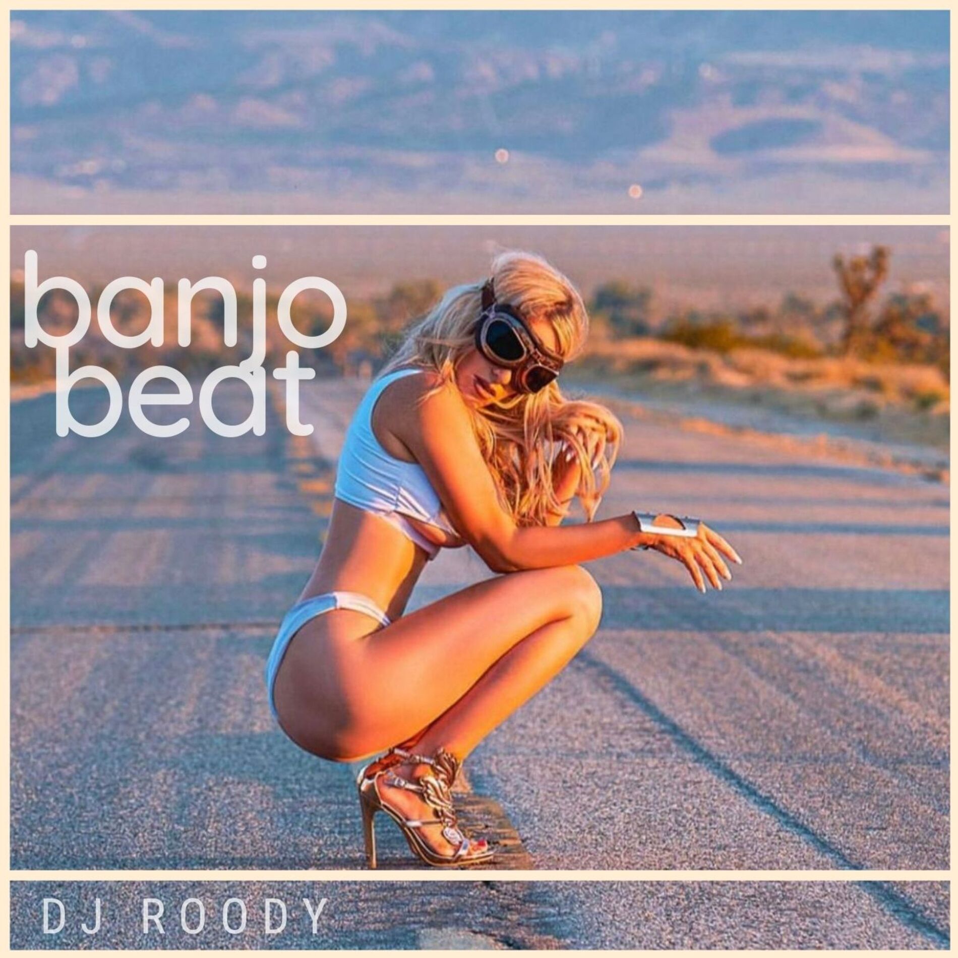 Album cover of Banjo Beat