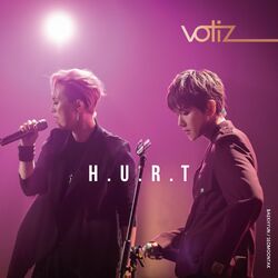 Cover of Hurt