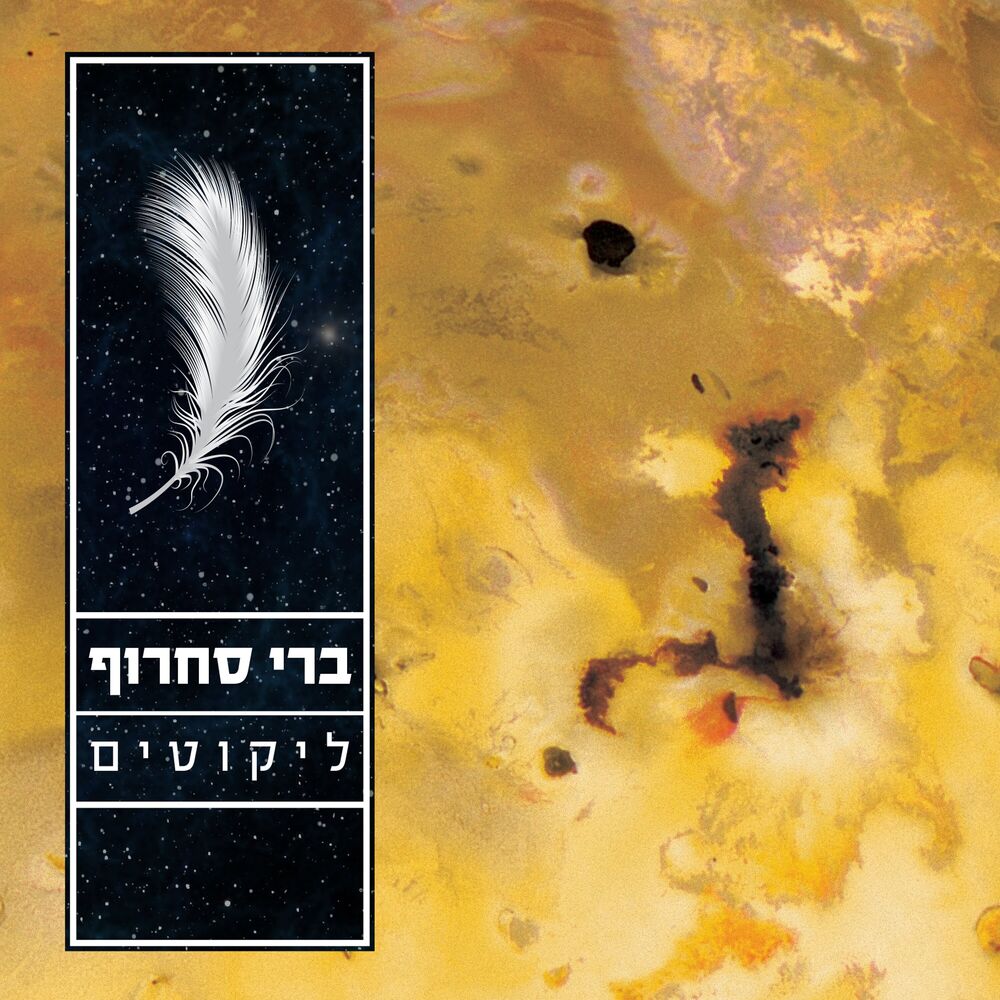 Picture of ליקוטים
